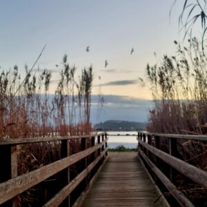 Ponticello immerso nella natura