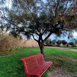 Al parco tra la natura